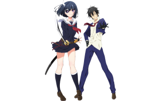 Anime characters swords standing together - one holding free wallpaper