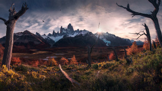 Mountain range trees bird cloudy - a painting of a mountain range free wallpaper