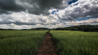 Dirt path forest horizon mountain - ultra wide angle free wallpaper