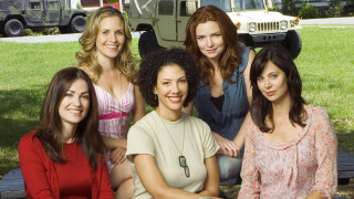 Women bench truck tree background - a bench in front free wallpaper