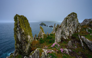 Rocky cliff water flowers nature - wide angle len free wallpaper