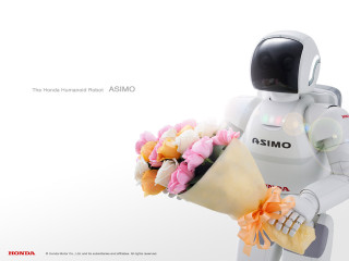 Robot bouquet camera roma automatistes - a robot holding free wallpaper