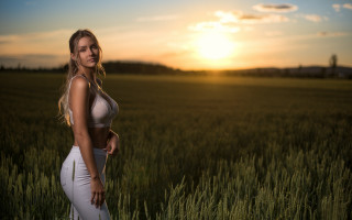 Sunset field blonde woman portrait - the sun setting behind her free wallpaper