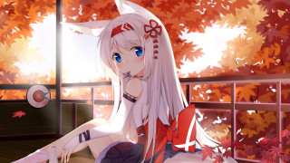 White hair balcony leaves fox - a balcony next free wallpaper