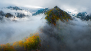 Mountain fog clouds trees misty - mist free wallpaper