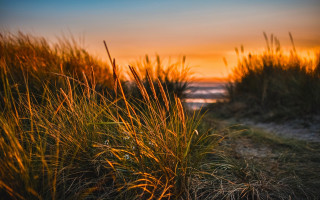 Grassy path sunset water clouds - a sunset in the background and a body of water free wallpaper for desktop