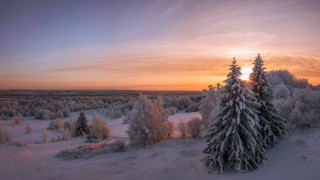 Snowy landscape trees sunset clouds - tree and a sunset in the background free wallpaper