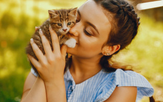 Woman kitten outdoors sunny green - verdadism free wallpaper