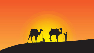 Desert sunset man camels hill - the desert free wallpaper