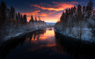 River sunset trees snow winter - a sunset in the background and trees free wallpaper