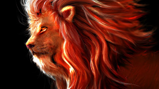 Lion redhair blackbackground sideview fantasy - a lion free wallpaper for desktop
