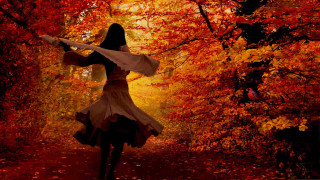 Woman white dress forest autumn - a white dress free wallpaper for desktop