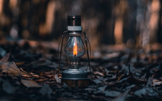 Light bulb leaves woods candle - a light bulb free wallpaper for desktop