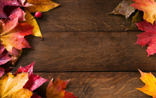 Wooden table leaves cell phone - a bunch of leaves free wallpaper
