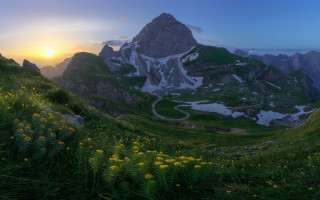 Mountain range grassy field flowers - the foreground and a sunset in the background free wallpaper