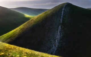 Grassy hill stream flower sunset - a few yellow flower free wallpaper for desktop