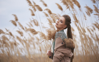 Woman field tallgrass pony tail - tall grass free wallpaper