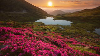 Sunset mountain lake cherry blossoms - choi buk free wallpaper
