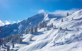 Snow mountain ski lift trees - side and trees free wallpaper