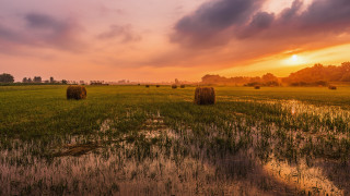 Hay bales sunset clouds cityscape 2 - free landscape wallpaper