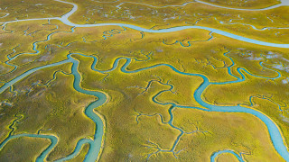 River green plain riverbed plane - andreas gursky free wallpaper