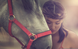 Woman horse petting red bridle - anka zhuravleva free wallpaper