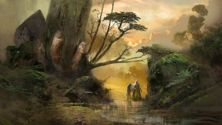 Horse man forest river sunset - anato finnstark free wallpaper