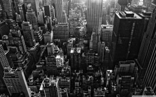 Black white city sunlight skyscraper 2 - photo of a city free wallpaper