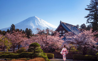 Woman mountain cherryblossoms ukiyo e - ukiyoe free wallpaper