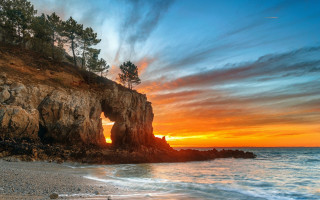Rocky cliff tree sunset ocean - a small tree free wallpaper