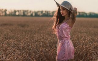 Woman hat wheat field fashion - a field of wheat free wallpaper