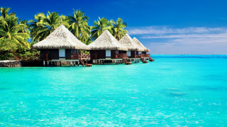 Beach huts ocean palm trees - top of a beach next free wallpaper for desktop