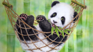Panda hammock bamboo green eyes - a watercolor painting free wallpaper