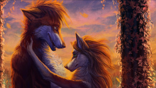 Foxes forest sunset warm colors - warm color free wallpaper