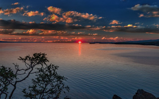 Sunset water tree clouds red - a tree in the foreground free wallpaper for desktop