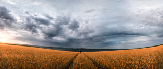 Wheat field cinematic sky mountain - daniel lieske free wallpaper for desktop