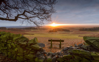 Sunset forest lake bench tree - top of a grass free wallpaper
