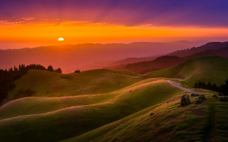 Sunset grassy hill road trees - a few tree free wallpaper