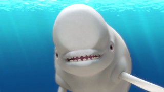 White shark toothy smile swimming - its face free wallpaper