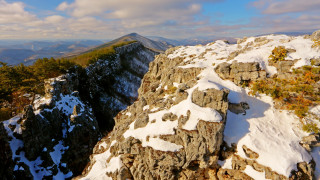 Mountain snow rock face trees - panoramic view free wallpaper