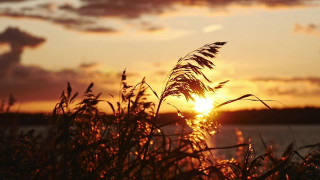 Sunset clouds grass water autumn - the foreground and a body of water free wallpaper