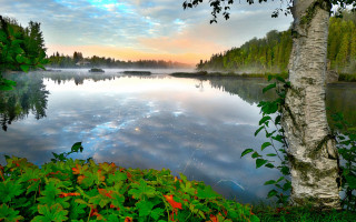 Lake forest sky clouds landscape - tree and a forest free wallpaper