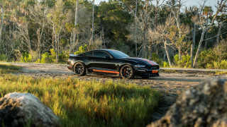 Black car dirt road forest - f 8 aperture free wallpaper