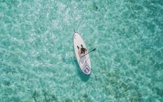 Paddle boarder ocean sunny day - looking free wallpaper for desktop