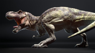 Tyrannosaurus open mouth photorealistic claws - photoreal free wallpaper