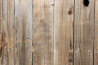 Cat sitting wooden fence looking - a woodcut free wallpaper