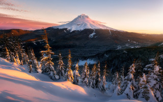 Snowy mountain trees sunset pink 3 - the foreground and a sunset in the background free wallpaper
