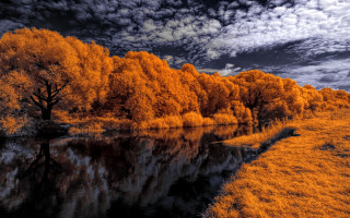 River trees autumn impressionist sunset - a cloudy sky above free wallpaper