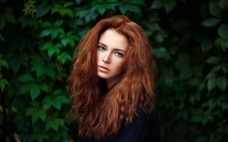 Elina karimova red hair nature - a bush free wallpaper