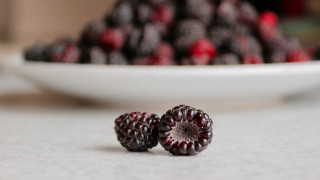 Berries closeup bowl foreground blurry - a close up of a plate free wallpaper